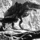 Horizon: Zero Dawn